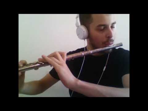 Martin Garrix feat. Khalid - Ocean [Flute Cover]