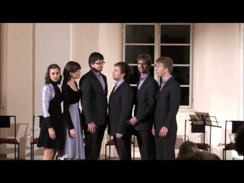 Short people (Randy Newman) - Ingenium Ensemble
