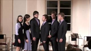 Short people (Randy Newman) - Ingenium Ensemble