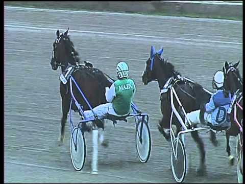 Trotto 01/10/2015 - 5° corsa