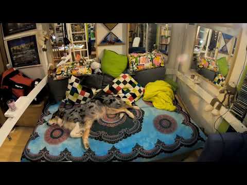 kanukassel-TV: ÜBERWINTERN im WOHNWAGEN 2020 Clip 18 - Im WECHSEL der WELTEN