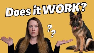 What IS Force Free Dog Training & Does it ACTUALLY Work?