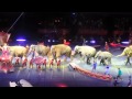 Ringling Brothers Barnum Circus