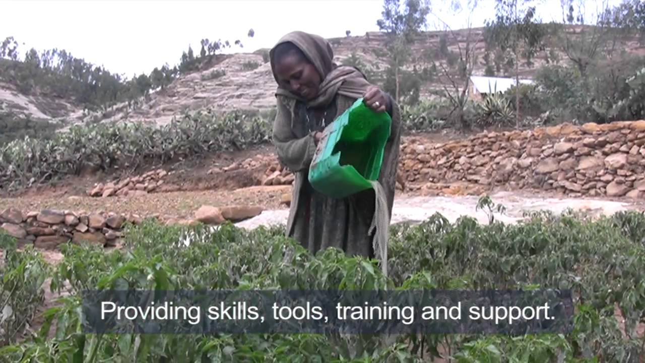 SCIAF  - Our work around the world