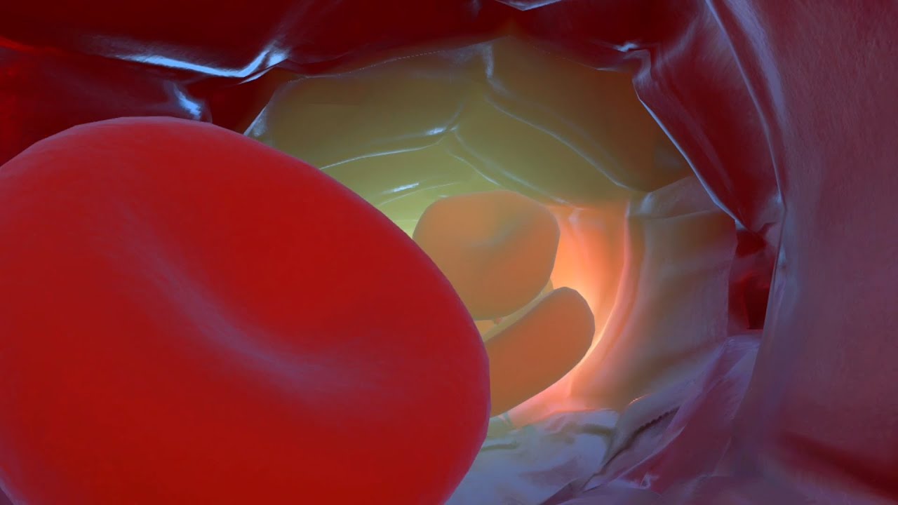 Virtual Reality Training I Sliced Bread Animation