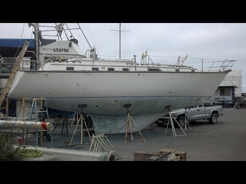 The Shaka Journals - Ep 4 - Our sailboat project has begun !! Day 20 update.
