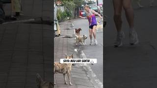 Download lagu Katanya lari di Bali seru… ternyata serunya dikejar 10 anjing 😂 #bali #indonesia #anjing #berlari mp3 Download lagu Katanya lari di Bali seru… ternyata serunya dikejar 10 anjing 😂 #bali #indonesia #anjing #berlari mp3