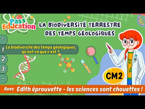 La biodiversité des temps géologiques, qu’est-ce que c’est ?  Cm2 Edith Eprouvette: Leçon, Exercices