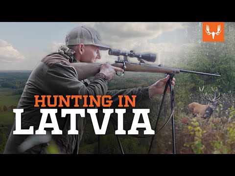 On the Hunt with Janis Putelis | Hunting in Latvia