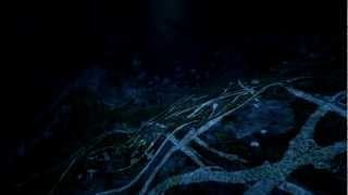 Baller Does Something Random - Dear Esther Part 5