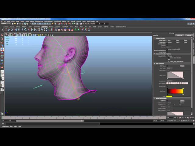 How to paint skin weights Maya tutorial