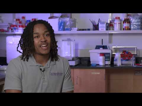 Rensselaer's Summer Research Program