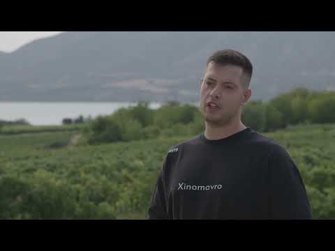 Οίνοι ΠΓΕ Βελβεντό