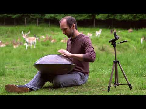 Taopan - Cyclop meets Deer family (Handpan)