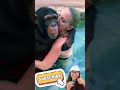 Orang Utan Genit Ke Bule Cantik Bule Bulecantik Orangutan