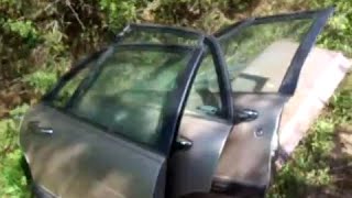 Buick door locks, trunk locks, power antenna and a snake
