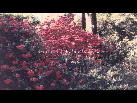 Andrew Chalk & Tom James Scott | 'Wild Flowers' (album preview)