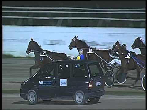 Trotto 01/11/2015 - 8° corsa