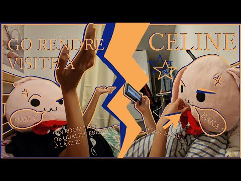 GO RENDRE VISITE A CELINE (un room tour de qualité premium à la clé) - Vlogs