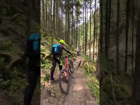 Traseu Mtb Zarnesti-Prapastiile Zarnestiului- Saua Joaca