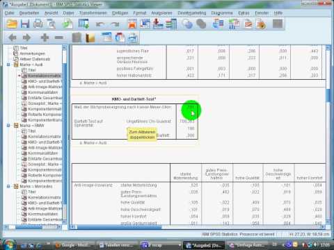 SPSS Einführungsvideo 5 - Faktorenanalyse am Beispiel von Audi