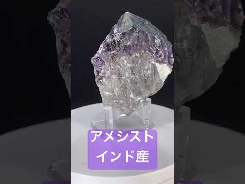 園芸 インド産ラフィオレピド