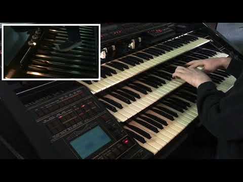 I Know Why (And So Do You) - Moonlight Serenade (Glenn Miller) / Florian Hutter - Wersi Atlantis SN3