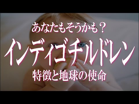 ペルソナニア・リーバイス