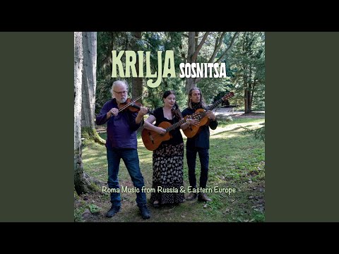 Sosnitsa / Tanz Tanz Yidelech