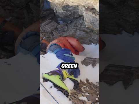 Top 5 dead bodies on the Everest #shorts #everest