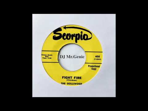 The Golliwogs ‎– Fight Fire (High Quality)