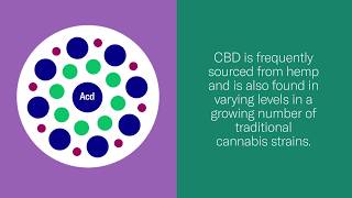 What is CBD (cannabidiol) | Leafly
