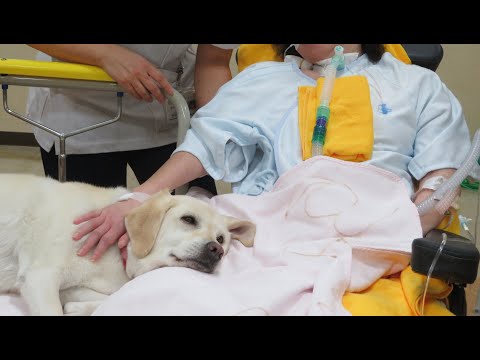 海洋生命科学科 犬がもたらす力　～看護師の目線から～