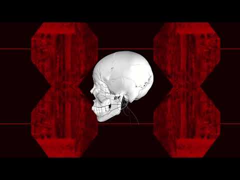 Yoshua E.m: Bham Bham Bhole 2021 Stream/ Visuals: VJ Vortex