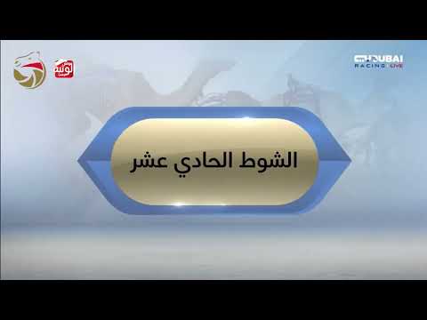 ملخص السباق ، تأهيلي المرموم 2026/2/8 حول وزمول