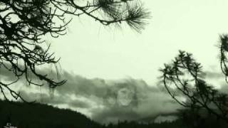 Whispering Pines....  Johnny Horton