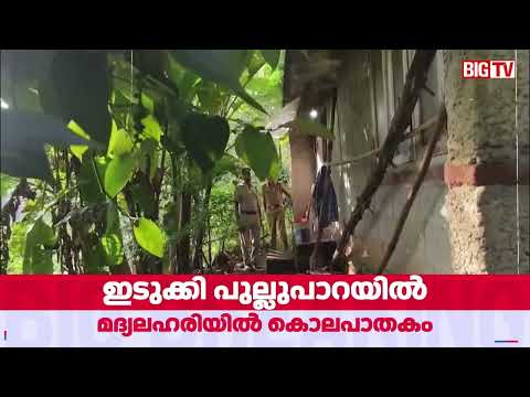 ഇടുക്കി പുല്ലുപാറയിൽ മദ്യലഹരിയിൽ ബന്ധുവിനെ കൊലപ്പെടുത്തി. പ്രതി അറസ്റ്റില്‍ | Idukki murder case