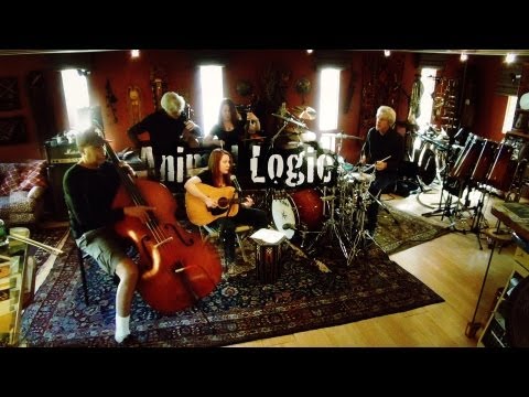 Animal Logic at the Sacred Grove with Deborah Holland, Stanley Clarke and Stewart Copeland