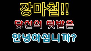 [텃밭농부.681]  장마철 당신의 텃밭은 안녕하십니까? #텃밭농사 #장마철 텃밭관리 #장마대비