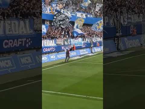 A IFK Göteborg fan tries to attack a player #shorts