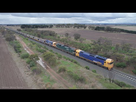 7736V Pacific National Grain Train With BL32 G539 X48 VHAF's (8/5/2022)- PoathTV Australian Railways