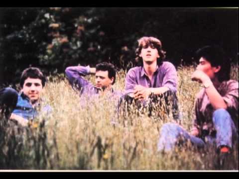 The Wild Poppies - Stare At The Sun