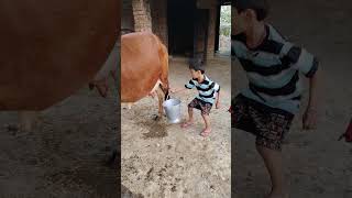 Download lagu choti choti gaiya rytut fg #love #song #funny mp3 Download lagu choti choti gaiya rytut fg #love #song #funny mp3