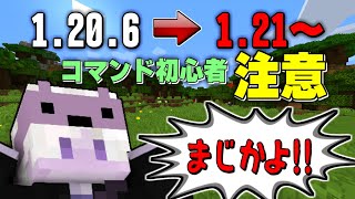 【気を付けろ！】1.21にアップデートする際に初心者が陥る罠について解説！【データパック】