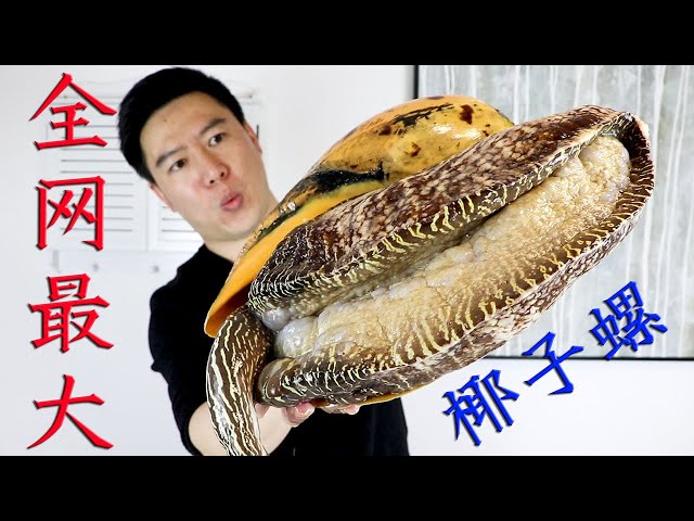 Video pronuncia di 寄生虫 in Giapponese