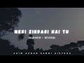 Meri Zindagi Hai Tu Ost Slowed Reverb LOFI MIX Asim Azhar Sabri Sisters