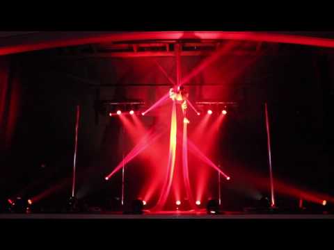 Angela Hawkes - Silks - Weird & Wonderful 2016