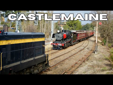 Heritage Galore | Steamrail, VGR, 707 Operations