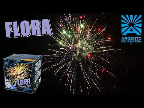 Argento Flora I Batch 2025 I 25 Schuss 30mm Batterie Pyro Man