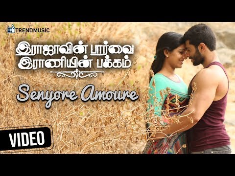 senyore amoure song lyrics Thumbnail